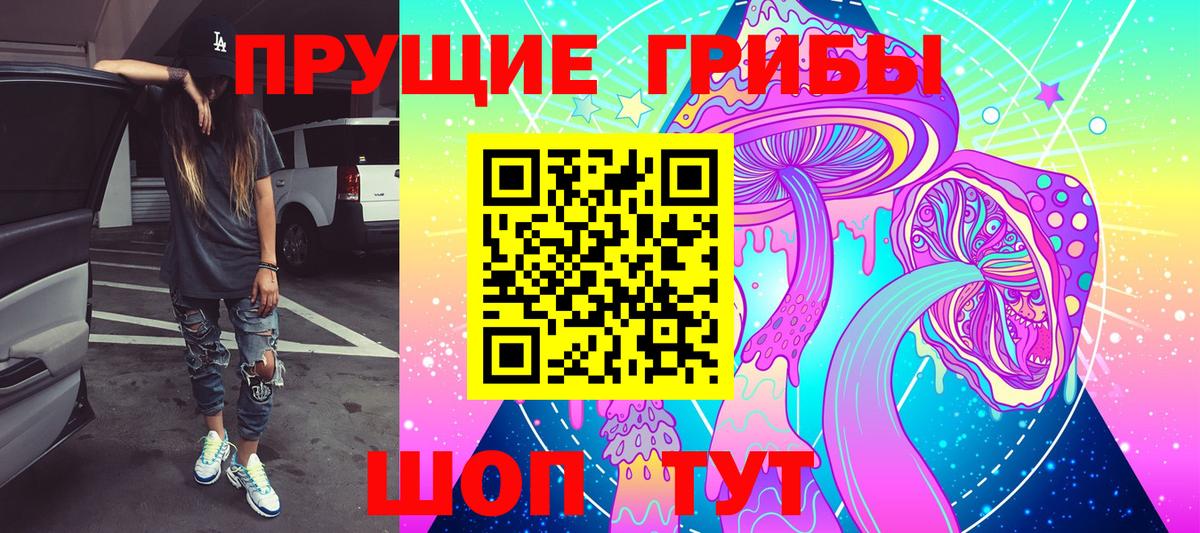 где продают наркотики  Вход с VPN  Галлюциногенные грибы MAGIC MUSHROOMS  Родники  Псилоцибиновые грибы Psilocybe 